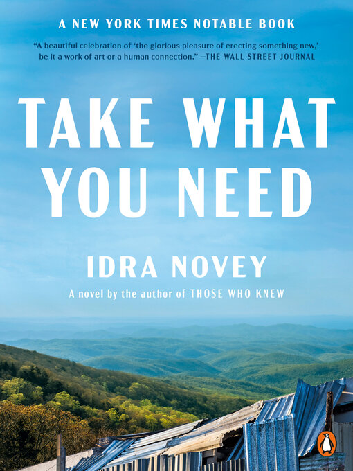 Title details for Take What You Need by Idra Novey - Available